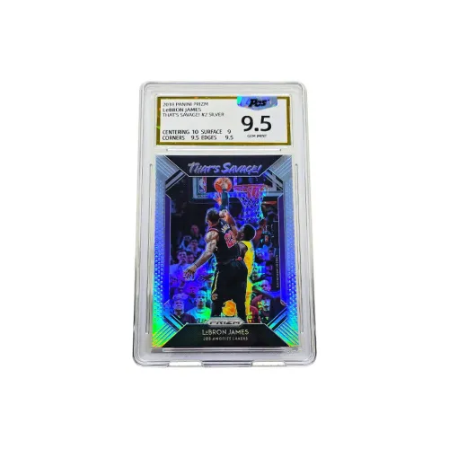PANINI Graded Cards