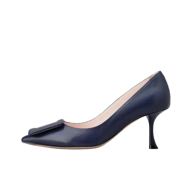 Roger Vivier Slim Heel High Heels 6.3cm Women's Blue-0