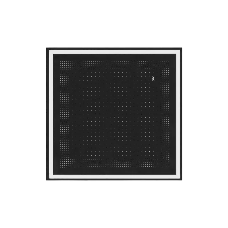 SAINT LAURENT Mulberry Silk Scarves Unisex Black/White-2