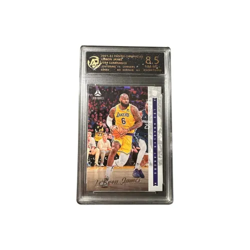 PANINI Lakers LeBron James The King Peak Absolute T Card RPA Grading High Score Player Card Rare Card Graded Cards 1 Pc