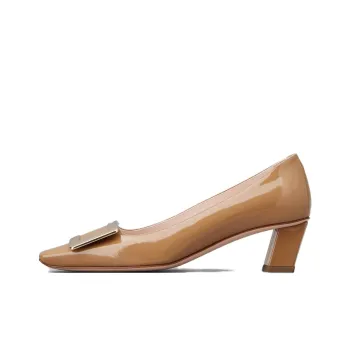 Roger Vivier Chunky Heel High Heels 4.3cm Women's Brown