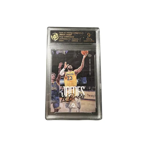 PANINI Lakers LeBron James The King Exquisite Photo Autograph Card High Grade Player Card Rare Card Graded Cards 1 Pc