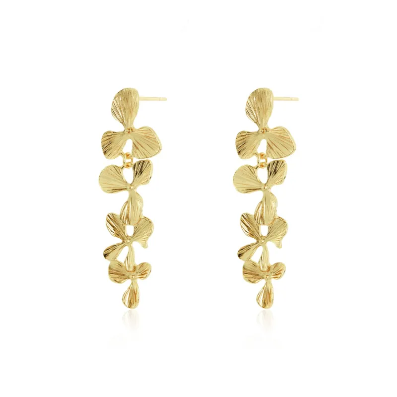 ZANC Earrings Women's-1