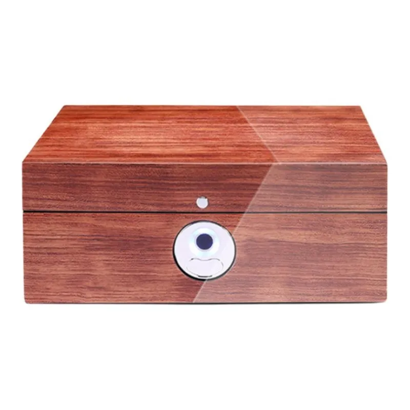MINGNASHI MINNESI Luxury Enamel Coating Premium Fingerprint Recognition Padlock Watch Box Unisex-3