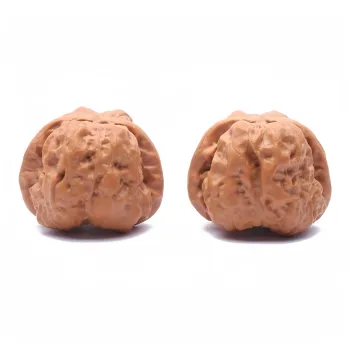 Noritake Text Plays Walnuts Collectible Unisex