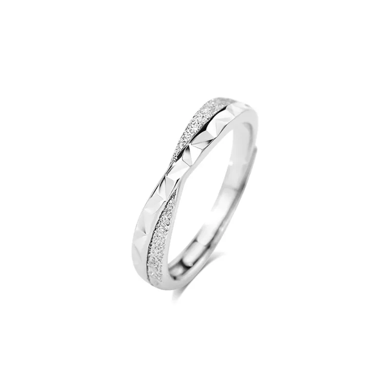 BLANK IN BLANK Sterling Silver Rings Unisex Date Snake Year Ornament Box-5