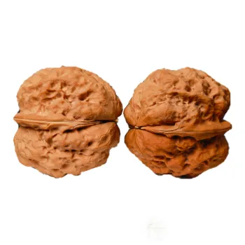Xihe Core Creation Walnut Fine Handicraft Frog Head Handheld Accessory Unisex