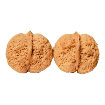 Xihe Core Creation Walnut Fine Handicraft Yuanbao Set Unisex