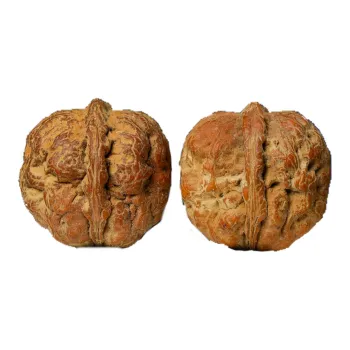 Xihe Core Creation Walnut Fine Handicraft Collectible Unisex
