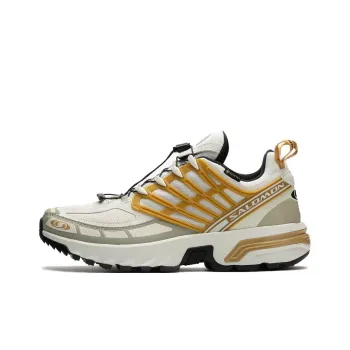 SALOMON Acs Pro Gtx Sneakers