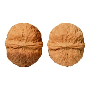 Xihe Core Creation Walnut Fine Handicraft Dragon Ball Yuanbao Unisex