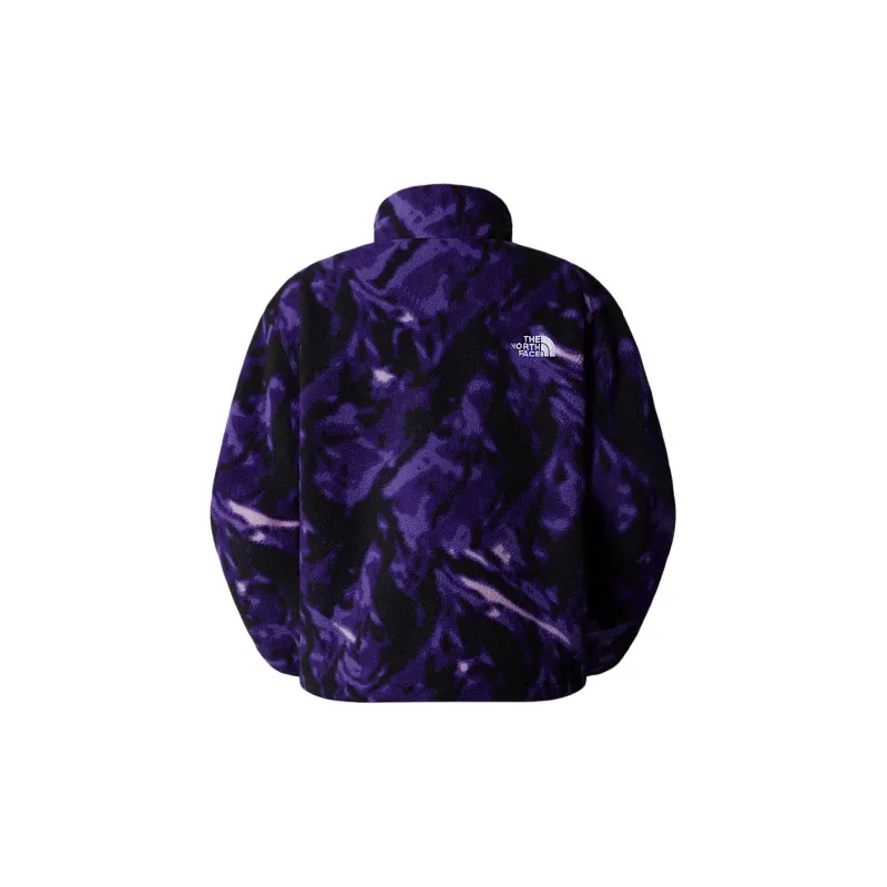 THE NORTH FACE Half-Zip Fleece Pullover-1