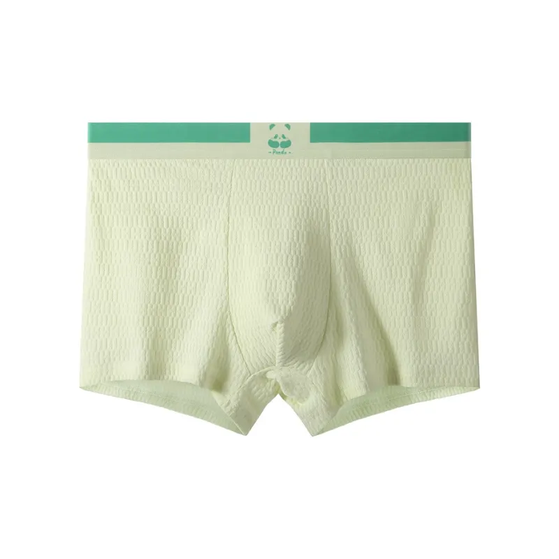 Urban Beauty Underpants Men's Combo Set-0