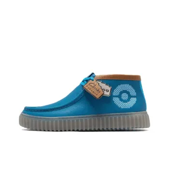 Clarks Torhill Explore Pokémon Blastoise