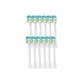 Bright White Model White 12 Pack