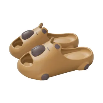 Foot recreation Slippers / Home Slippers