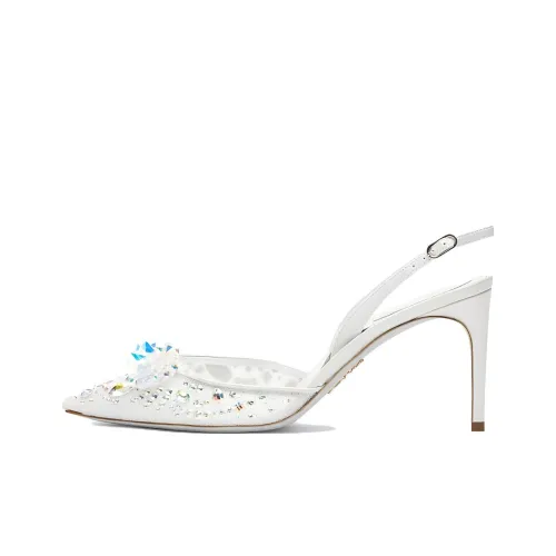 RENE CAOVILLA Cinderella Slim Heel High Heels 8cm Women's White