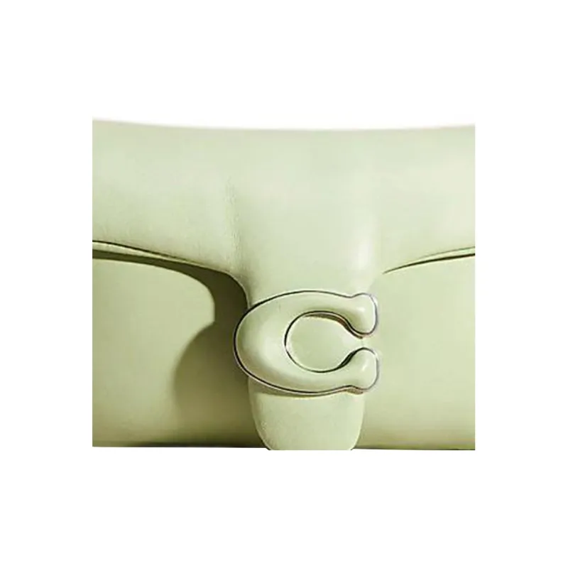 COACH Pillow Leather God Of Wine Bag, Handbag, Shoulder Bag Small Size Women's Green-1