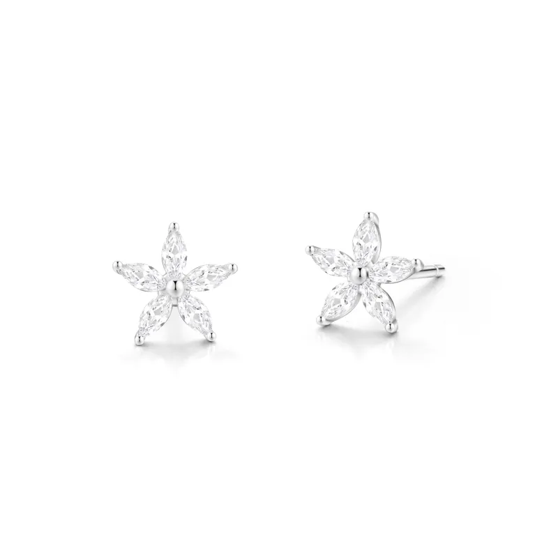 ZSY S925 Pair Of Stud Earrings Women's Box-0