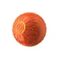 Orange Bouncy Ball