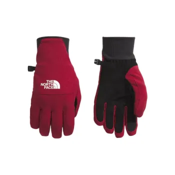 THE NORTH FACE Women's’s Shelbe Raschel Etip™ Gloves