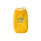 Rock Yellow