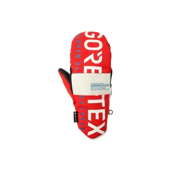 ASHRAM Ski Gloves