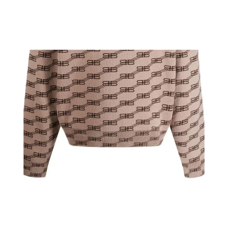 Balenciaga Sweaters Unisex Brown-5