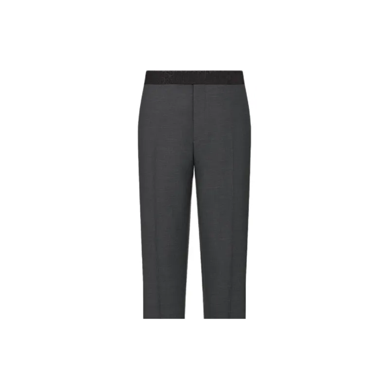 DIOR SS25 Suit Trouser Men's Gray-4