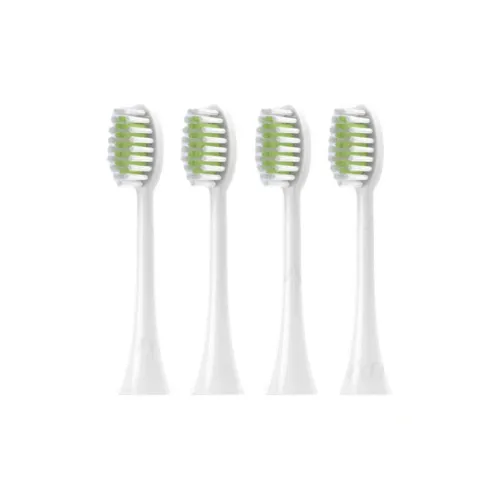 Fly Toothbrush Heads