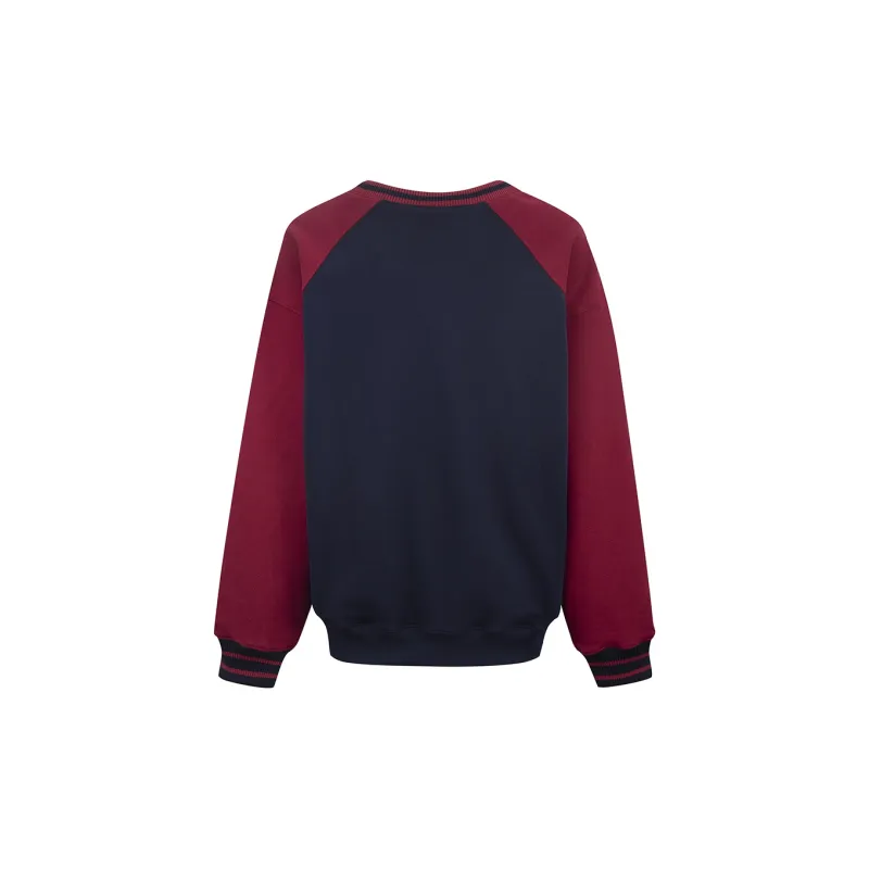 Ariseism Regular Color Block V Neck Jersey Style Long Sleeved T Shirt, Fall Upper Width Loose Fit Women's-3