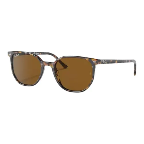 RayBan Elliot Sunglasses