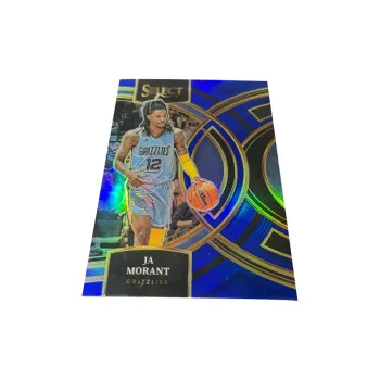 PANINI Sports Cards