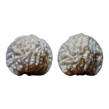 XUWU Ivory Nut Handlebar Piece Unisex