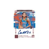 PANINI Impeccable Basketball Card Hobby International Sports Cards 1 Box Included