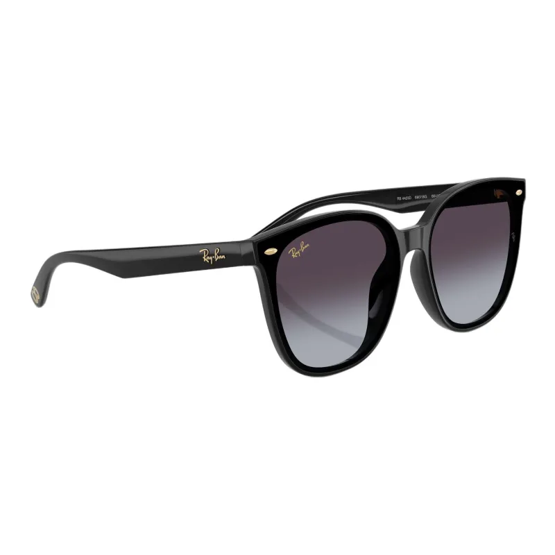 RayBan Injection Molded Square Sunglasses Unisex Black-5