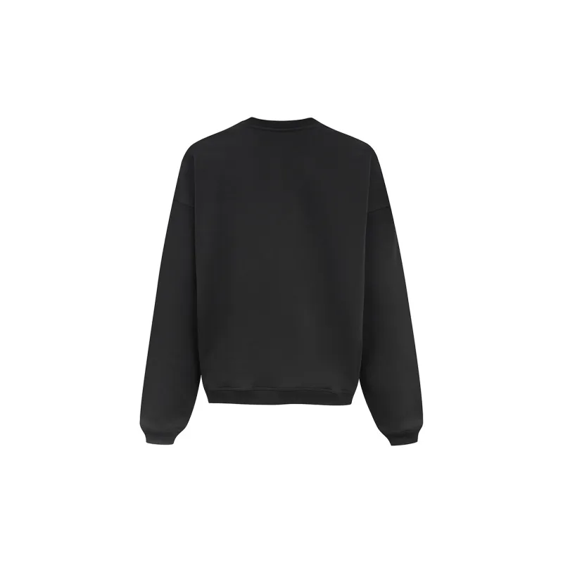 Ariseism Solid Color Crew Neck Pullover Sweatshirt Fall And Winter New Arrival Top Women's-3