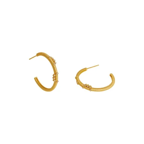 Bi disc S925 Silver Earrings Unisex