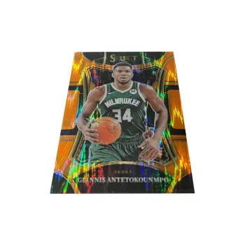 PANINI Sports Cards