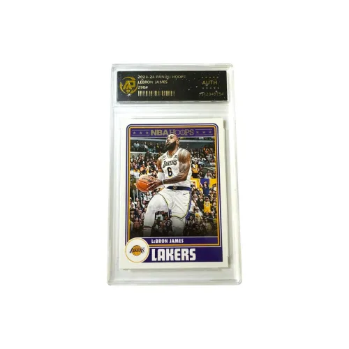 PANINI Panini James Lakers Hoops Vintage Teca Silver Label Player Card Graded Cards 1 Pc