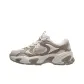 Shade 2 Gray/Dark Brown Gray