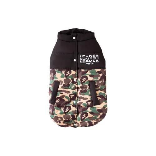 Download Cheap Ediconnect Jordan Outlet APP