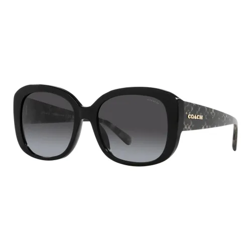 COACH Acetate Butterfly Sunglasses Men's Black