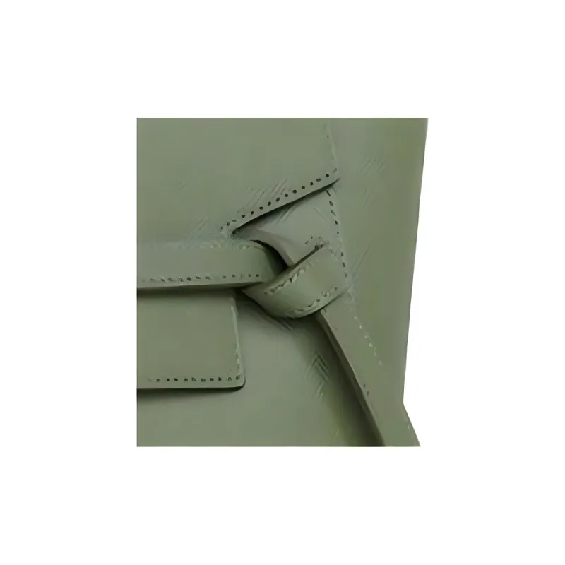 CELINE Belt Handbags-4