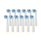 Upgraded Multi-Angle Gentle Bright White Type 12-Piece Set