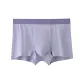Gray Purple