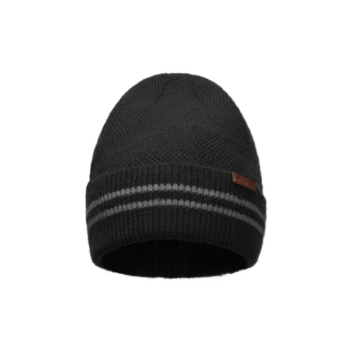 Dickies Polyester Beanies Unisex
