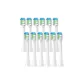 Clean Bright White Type White 12 Pcs Set