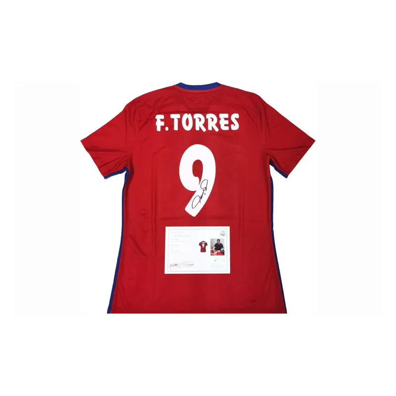 Huayitaojin Football Fan Supplies EM Official Partner Company Certificate Not Included Framing-0