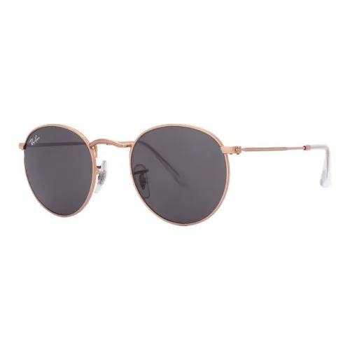 Ray Ban Erika 4171 Polarized